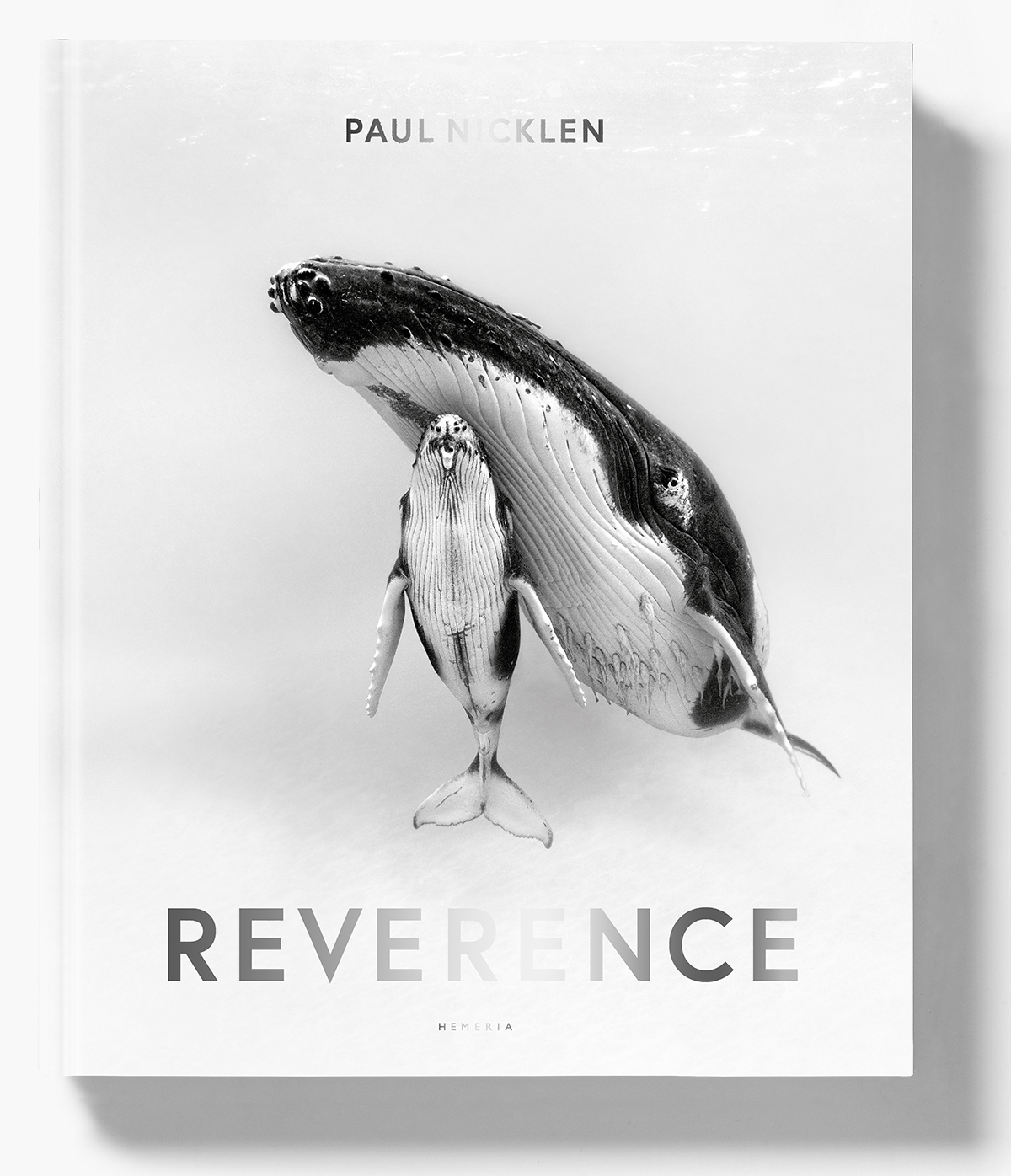 Paul Nicklen Book Signing at CONTEXT